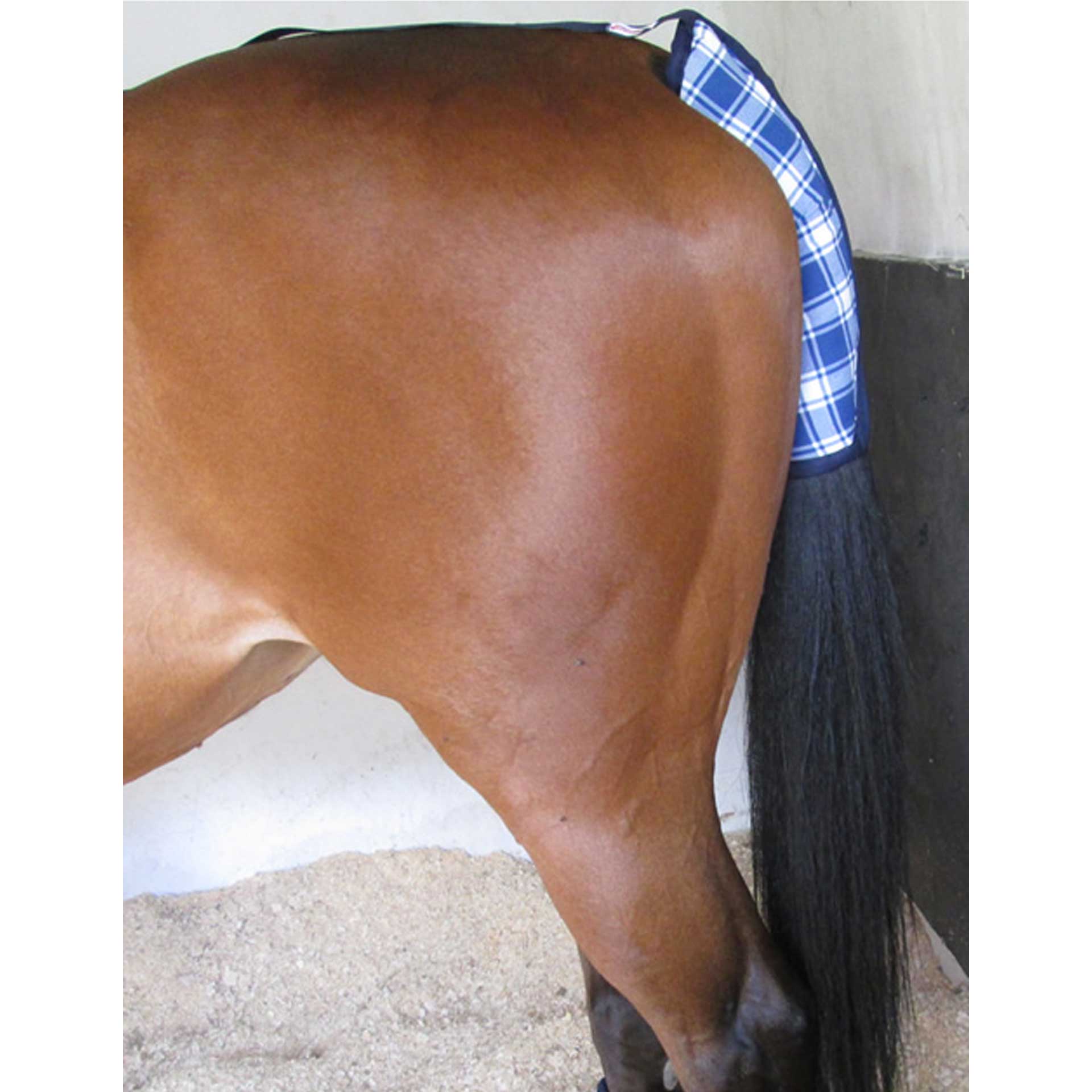 Tail Guard Cotton Solo